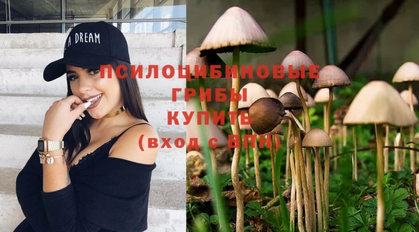 таблы Дмитриев