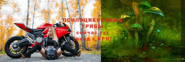 мдпв Дмитровск