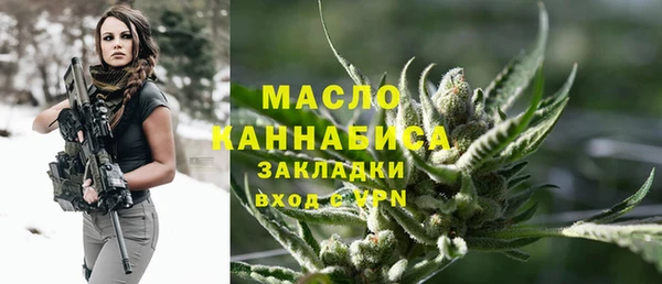 мдпв Дмитровск