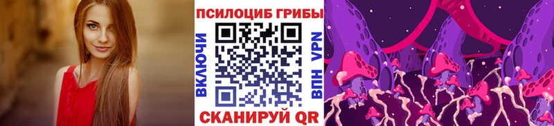 Псилоцибиновые грибы MAGIC MUSHROOMS  Купить где  Урус-Мартан 
